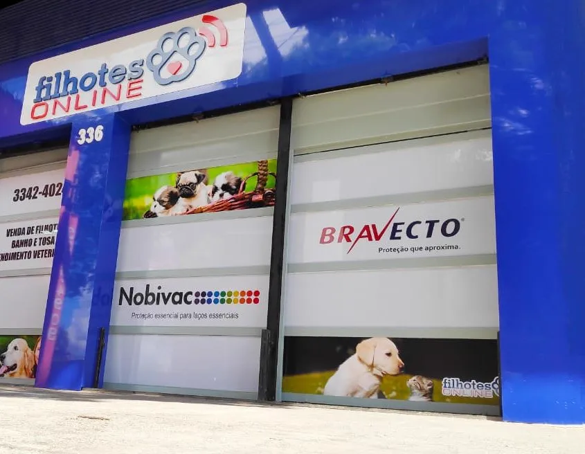 Fachada azul da loja Filhotes On Line na Rua Gama Cerqueira, 336